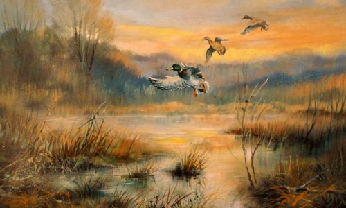 Megdobogtatni a természet kedvelők, természet szeretők szívét