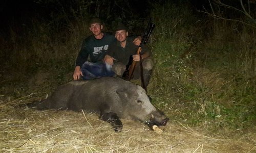 Nem mindennapi kan és a sokat látott faülcsi