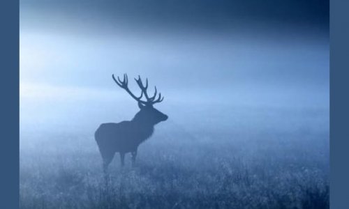 Nonstop vadászkvíz VI. rész