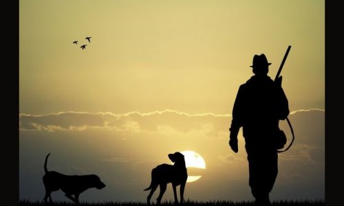 Nonstop vadászkvíz VII. rész