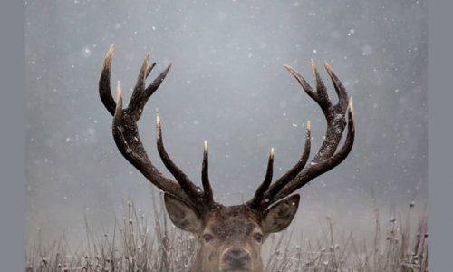 Nonstop vadászkvíz VIII. rész