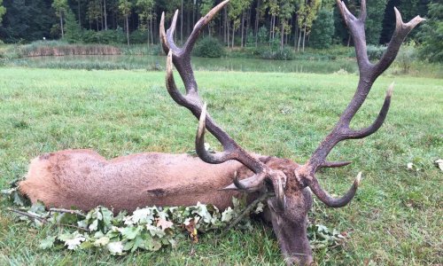 Jó tanácsok az eredményesebb vadászathoz  I. rész avagy hogyan viselkedjünk egyéni vadászaton