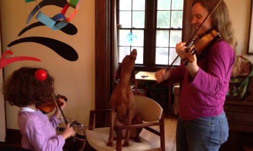 A vizslák nem csak a vadászatban a legjobb társak, hanem tehetséges énekesek is…