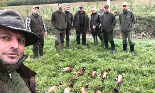 Így lettem fácánvadász…