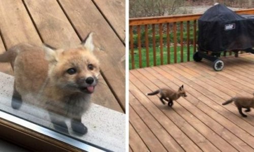 Életre szóló élményben lehetett része az idős hölgynek