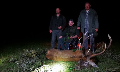 A végtelen nádas ajándéka