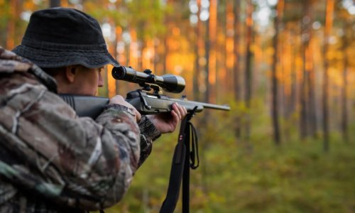 Hat hónapos gyakorlathoz  kötnék a vadászengedély megszerzését…