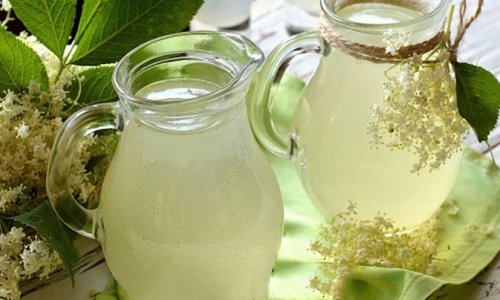 Így teheted el a hűsítő bodzaszörp télire, olyan finom, mint amit gyermekkorunkban a nagyi készített!