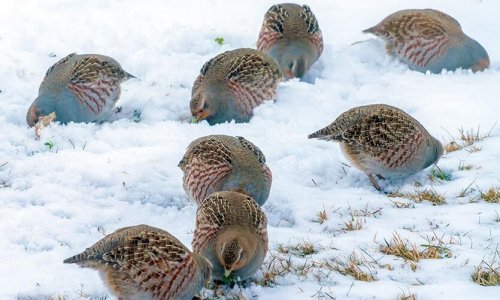 Itt az idő: A fogoly sorsa megpecsételődött