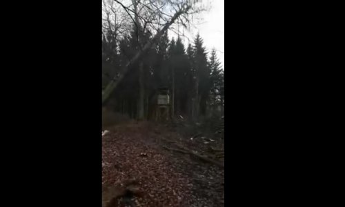 A vadász éppen a lesre készült… mikor a helyi favágó igen nagy meglepetéssel várta őt