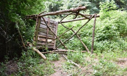 Napvilágot az igazság: Egy állatbarát pár tette tönkre a leseket a Pilisi Parkerdő területén