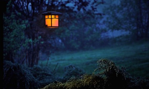 Félelmetes nyikorgó hangokat hallottál éjszaka? Egy erdész felesége elárulta, mik azok a hangok