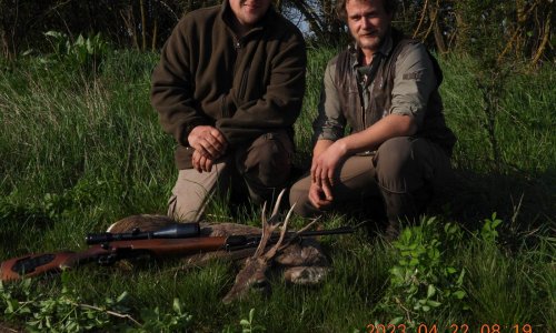 Egy igazán különleges, lepsényi bak