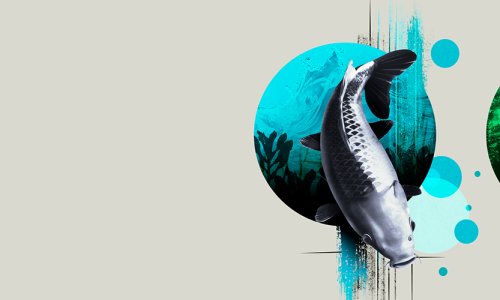 Írd be a naptáradba: 31. FeHoVa 2025. február 6-9.